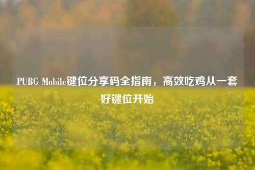 PUBG Mobile键位分享码全指南,高效吃鸡从一套好键位开始
