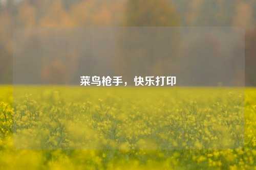 菜鸟枪手,快乐打印
