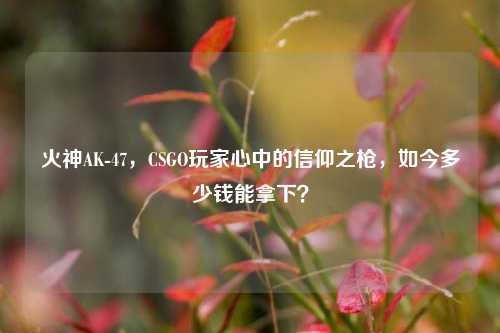 火神AK-47,CSGO玩家心中的信仰之枪,如今多少钱能拿下?