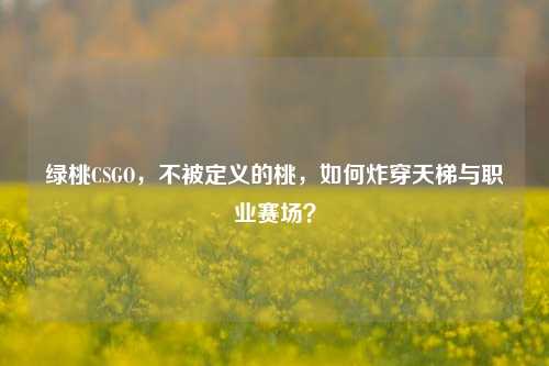 绿桃CSGO,不被定义的桃,如何炸穿天梯与职业赛场?