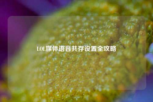 LOL媒体语音共存设置全攻略