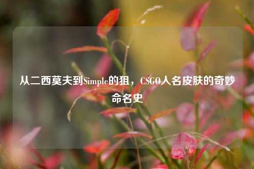 从二西莫夫到Simple的狙,CSGO人名皮肤的奇妙命名史