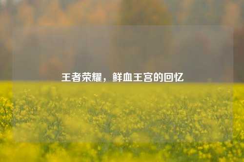 王者荣耀,鲜血王宫的回忆
