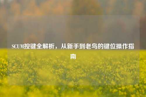 SCUM按键全解析,从新手到老鸟的键位操作指南