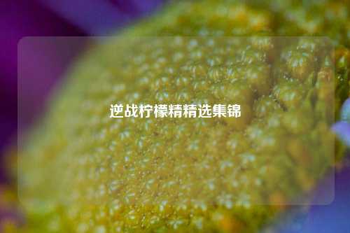 逆战柠檬精精选集锦