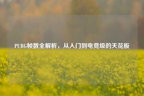 PUBG帧数全解析,从入门到电竞级的天花板