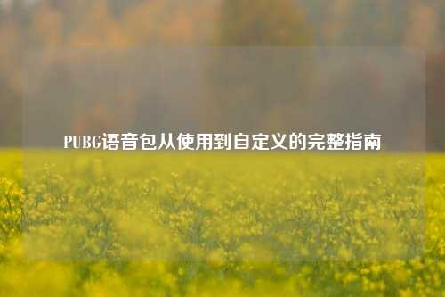 PUBG语音包从使用到自定义的完整指南