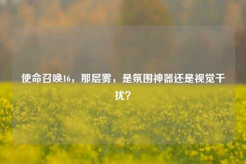 使命召唤16,那层雾,是氛围神器还是视觉干扰?