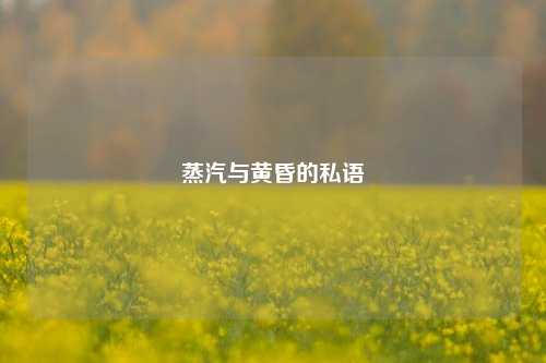 蒸汽与黄昏的私语