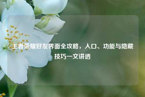 王者荣耀好友界面全攻略，入口、功能与隐藏技巧一文讲透