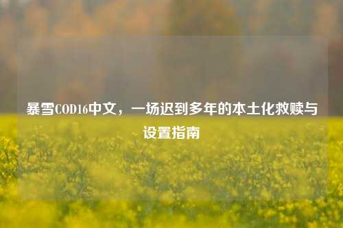 暴雪COD16中文,一场迟到多年的本土化救赎与设置指南