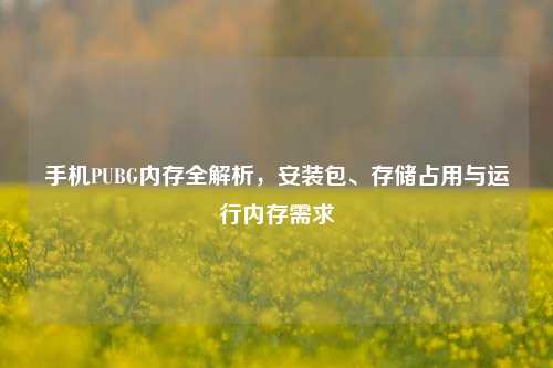 手机PUBG内存全解析，安装包、存储占用与运行内存需求