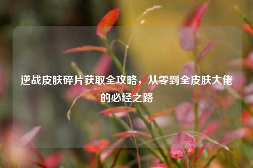 逆战皮肤碎片获取全攻略，从零到全皮肤大佬的必经之路