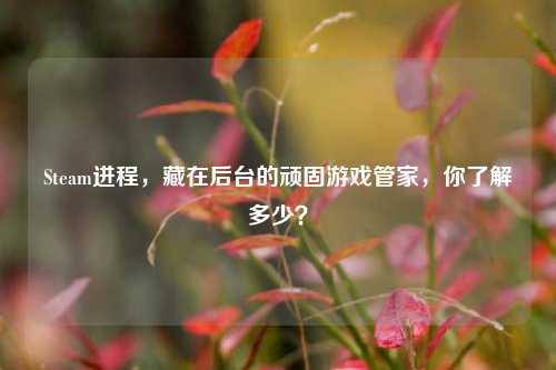 Steam进程,藏在后台的顽固游戏管家,你了解多少?