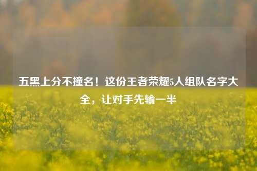五黑上分不撞名!这份王者荣耀5人组队名字大全,让对手先输一半