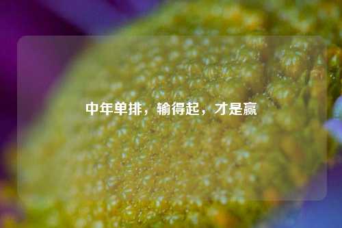 中年单排，输得起，才是赢