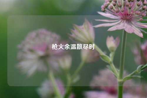 枪火余温散尽时