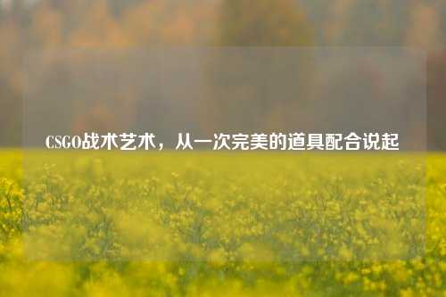 CSGO战术艺术,从一次完美的道具配合说起
