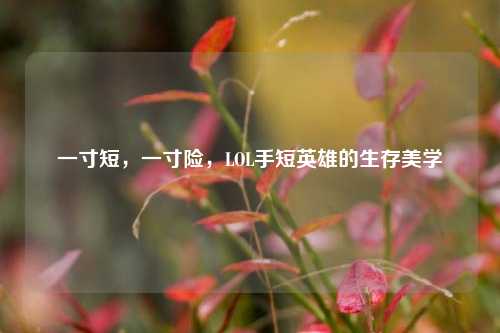 一寸短,一寸险,LOL手短英雄的生存美学