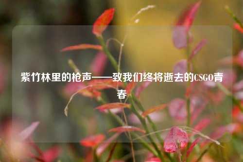 紫竹林里的枪声——致我们终将逝去的CSGO青春