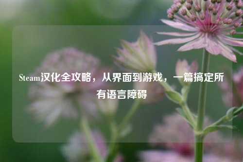 Steam汉化全攻略,从界面到游戏,一篇搞定所有语言障碍