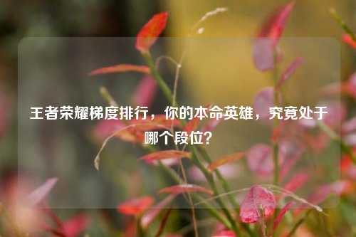 王者荣耀梯度排行,你的本命英雄,究竟处于哪个段位?