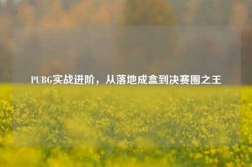 PUBG实战进阶,从落地成盒到决赛圈之王