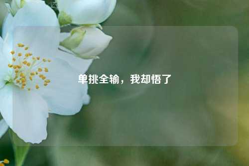 单挑全输，我却悟了