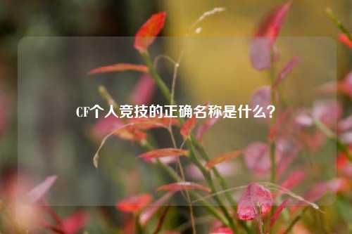 CF个人竞技的正确名称是什么?