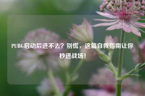 PUBG启动后进不去?别慌,这篇自救指南让你秒进战场!