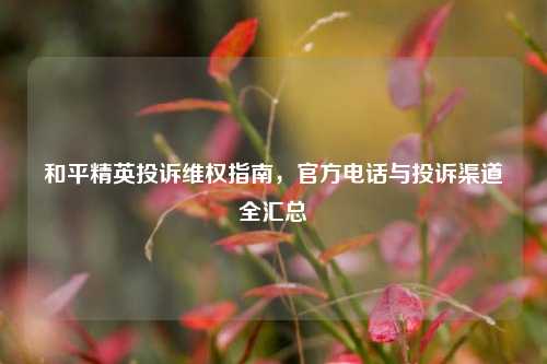 和平精英投诉维权指南,官方电话与投诉渠道全汇总