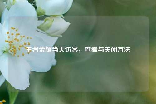 王者荣耀当天访客,查看与关闭方法