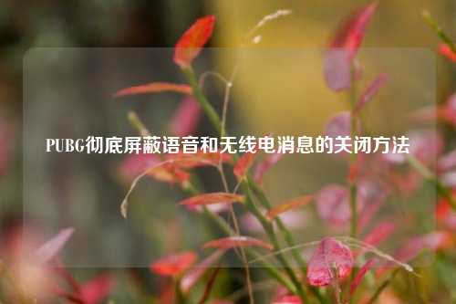 PUBG彻底屏蔽语音和无线电消息的关闭方法