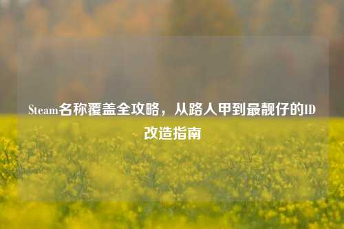 Steam名称覆盖全攻略,从路人甲到最靓仔的ID改造指南