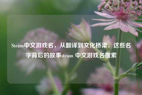 Steam中文游戏名,从翻译到文化桥梁,这些名字背后的故事steam 中文游戏名搜索
