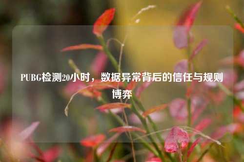PUBG检测20小时，数据异常背后的信任与规则博弈