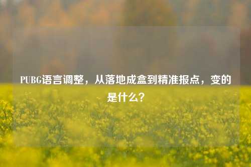 PUBG语言调整,从落地成盒到精准报点,变的是什么?