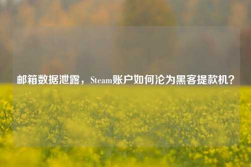 邮箱数据泄露,Steam账户如何沦为黑客提款机?