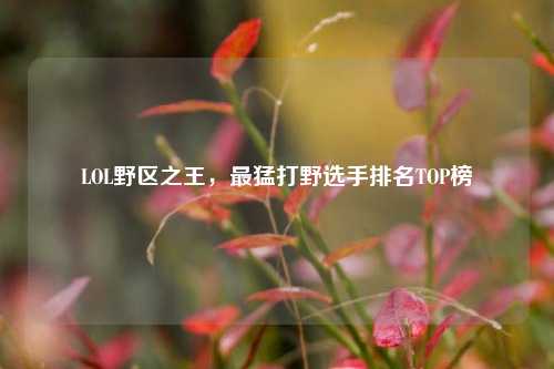 LOL野区之王，最猛打野选手排名TOP榜