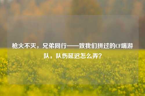 枪火不灭,兄弟同行——致我们拼过的CF端游队,队伤延迟怎么弄?