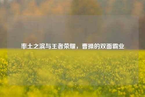 率土之滨与王者荣耀,曹操的双面霸业