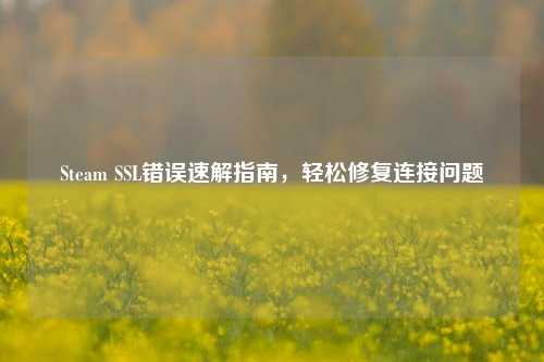 Steam SSL错误速解指南，轻松修复连接问题