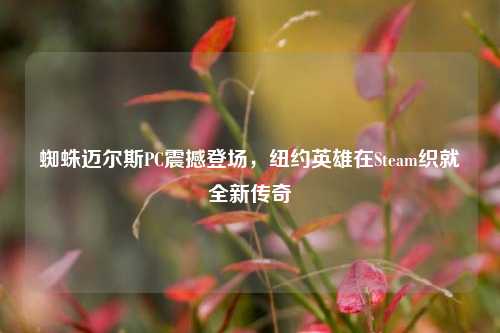 蜘蛛迈尔斯PC震撼登场，纽约英雄在Steam织就全新传奇