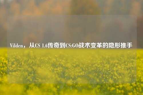 Vilden,从CS 1.6传奇到CS:GO战术变革的隐形推手