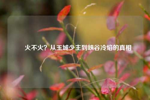暃火不火?从玉城少主到峡谷冷焰的真相
