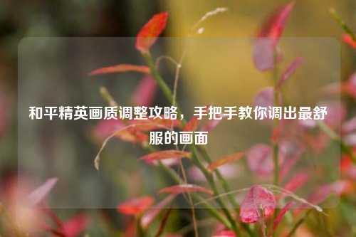 和平精英画质调整攻略,手把手教你调出最舒服的画面