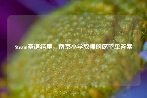 Steam圣诞结里，南京小学教师的愿望单答案