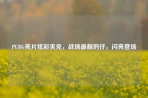 PUBG亮片炫彩夹克,战场最靓的仔,闪亮登场