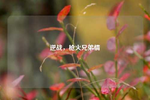 逆战，枪火兄弟情