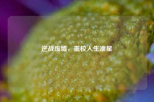 逆战废墟,重校人生准星
